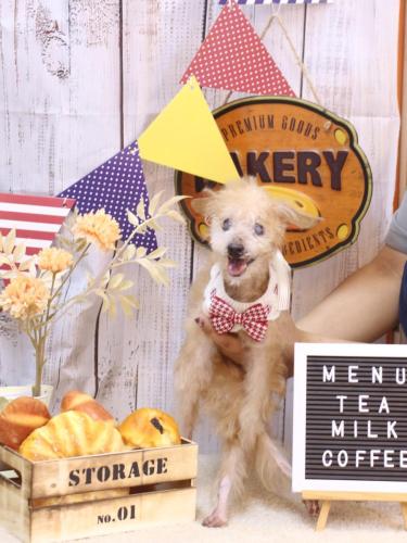 202470915モカくん